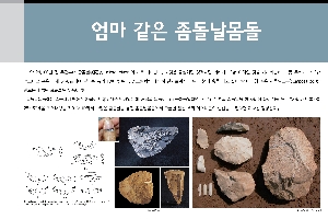 엄마같은 좀돌날몸돌 대표이미지
