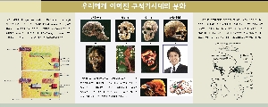 인류화석 대표이미지